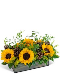 Rustic Autumn Fields from Eagledale Florist in Indianapolis, IN